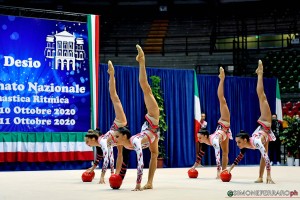 farfalle 0021 sfa 8472 copia